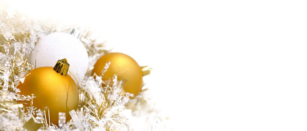 Close-up of fruit against white background