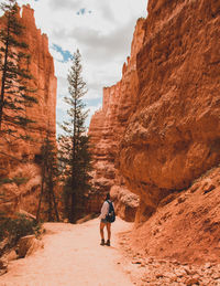 Rear view of man walking on rock