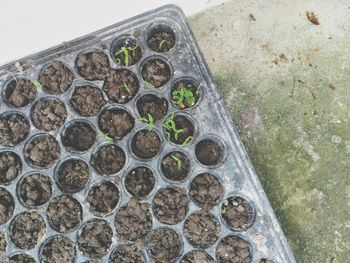 Close-up of stone wall