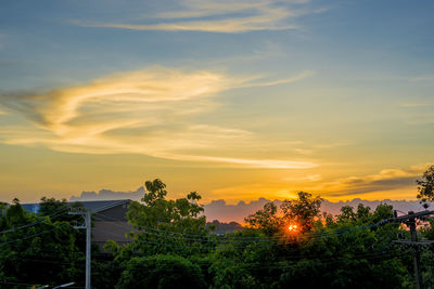 Trees and buildings against sky during sunset