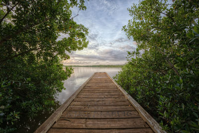 Boardwalk amidst trees against sky