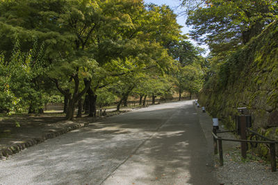 Road amidst trees in park