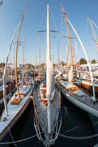 Sailboats moored in harbor against sky