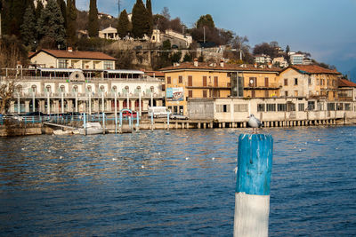 Wooden posts in lovere lake