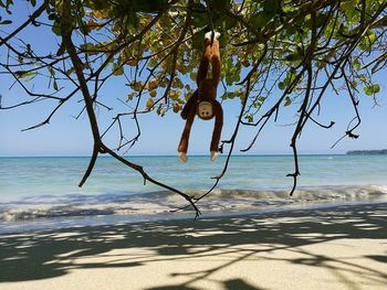 Tree on beach against sky