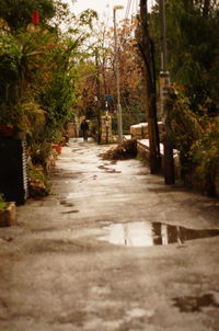 Footpath in park