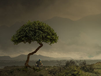 Scenic view of tree on field against sky