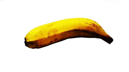 Close-up of lemon slice against white background