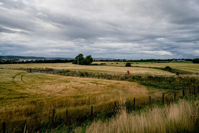 Scenic view of agricultural field against sky