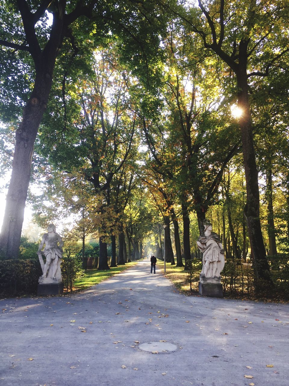 REAR VIEW OF PEOPLE WALKING IN PARK AT SUNLIGHT