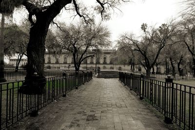 Walkway along trees in park