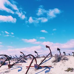 Plants growing on land against blue sky