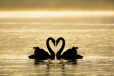 Close-up of heart shape against sea during sunset