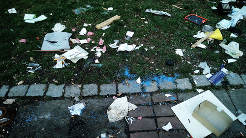 Close-up of leaf on the ground