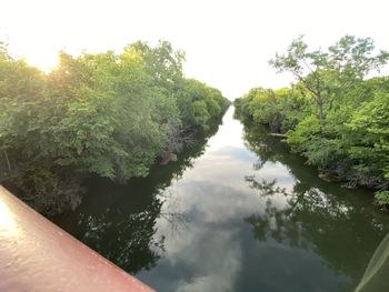 River amidst trees in forest against sky