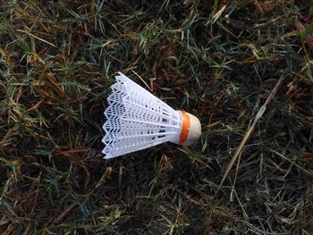 High angle view of paper on field