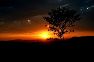 Silhouette tree against sky during sunset