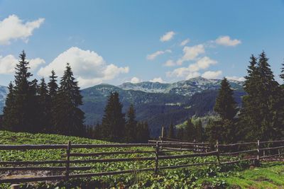 Scenic view of landscape against sky