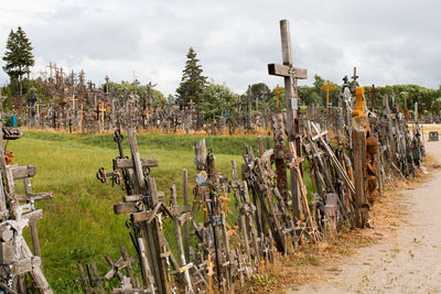 Panoramic view of wooden posts on field against sky