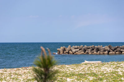 Rocks on beach against clear sky