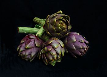 Close-up of bunch of fruits