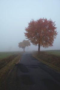 Road amidst trees on field against sky