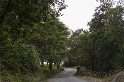 Empty road amidst trees against clear sky