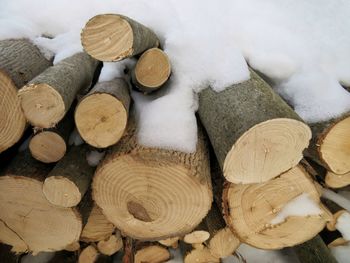 Stack of logs in snow