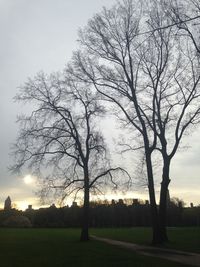 Silhouette bare trees on field against sky during sunset