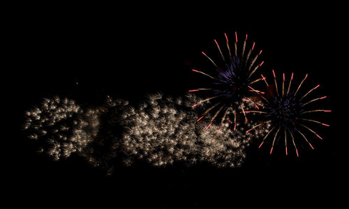 Low angle view of firework display at night