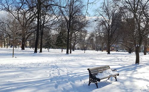 Park bench on snow covered field