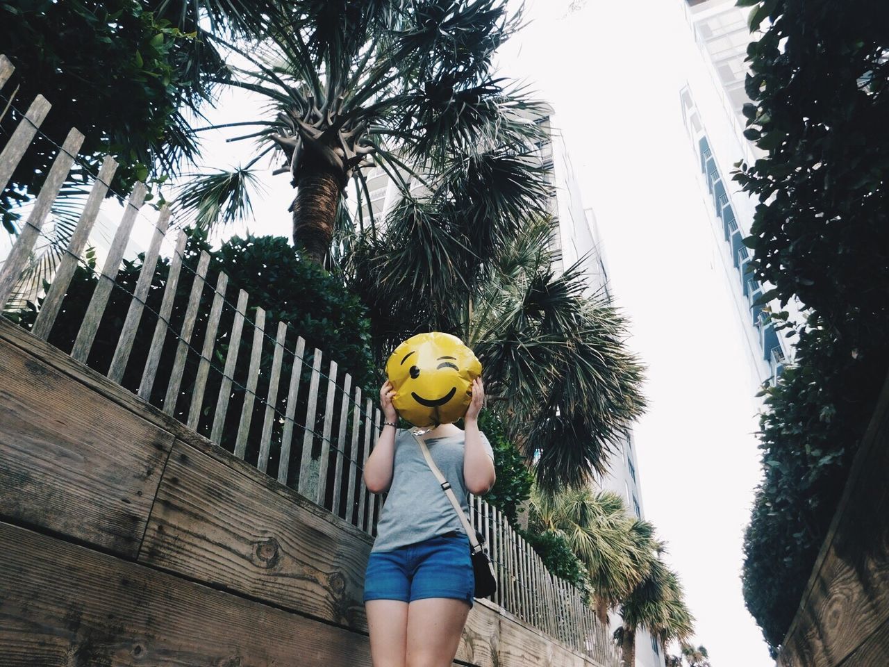 LOW SECTION OF BOY ON PALM TREES