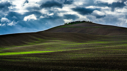Scenic view of agricultural field against sky