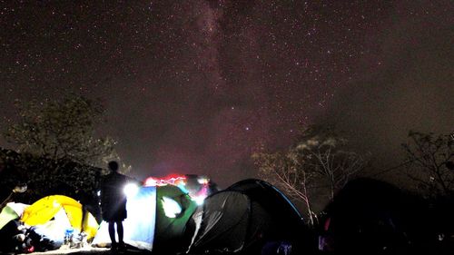 People standing by illuminated tree against sky at night