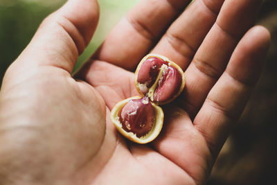 Close-up of hand holding fruit