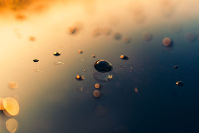 Full frame shot of water drops on glass