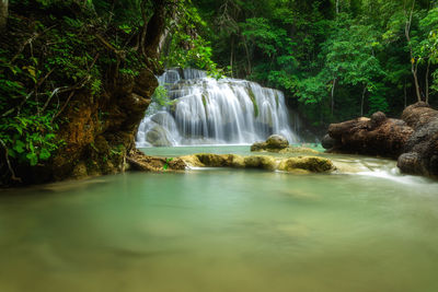 Scenic view of waterfall in forest