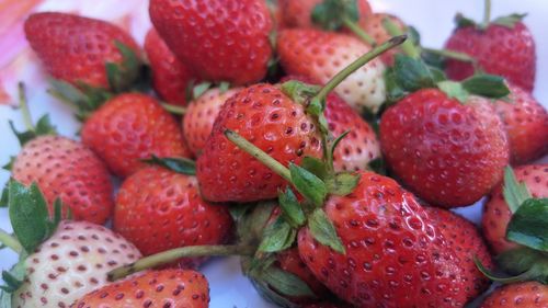 Close-up of strawberries