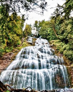 Scenic view of trees against sky
