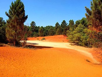 Scenic view of landscape against clear sky