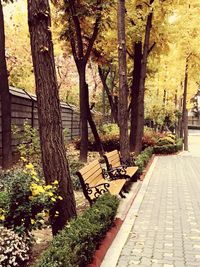 Plants and trees in park