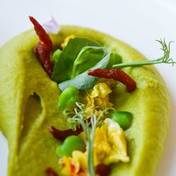 Close-up of food in plate