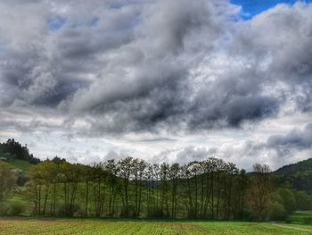 Scenic view of field against sky