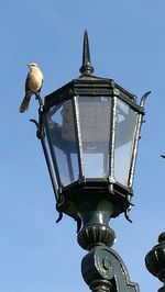 Low angle view of street light against sky