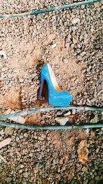 Close-up of shoes on wall