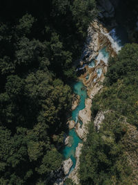 High angle view of trees by sea