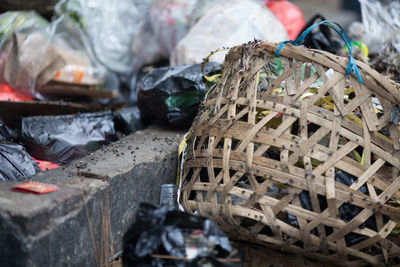 Flies on garbage at street