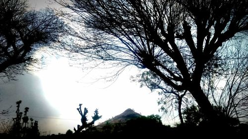 Low angle view of silhouette trees against sky