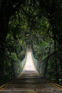 Situ gunung suspension bridge sukabumi, west java, indonesia