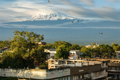 Birds flying over river by mountain against sky